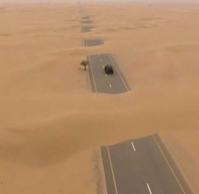 Прикольные картинки. Дневной выпуск (52 фото)