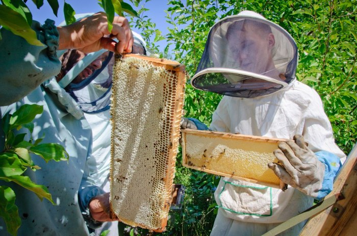 Почему мёд расслаивается при хранении?