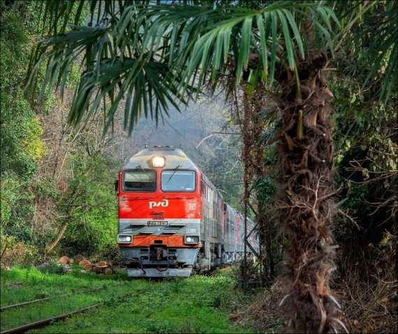 Забавная подборка дня Забавная подборка дня