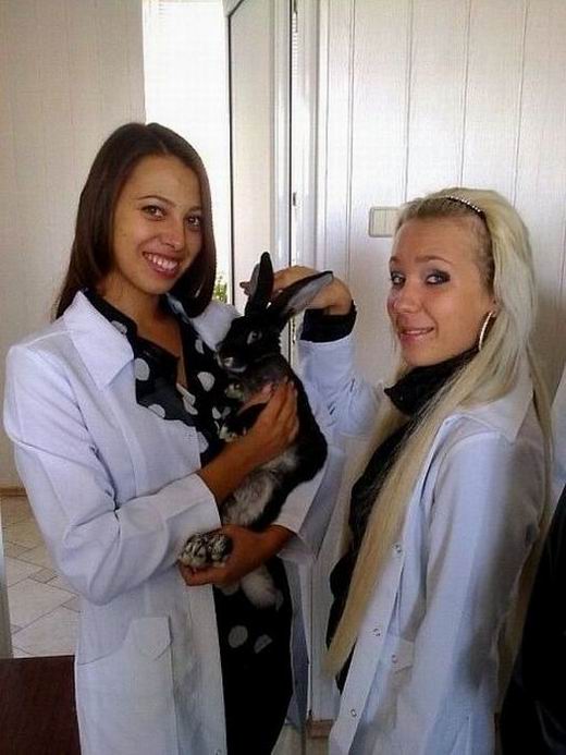 Дикие персонажи из соцсетей Дикие персонажи из соцсетей