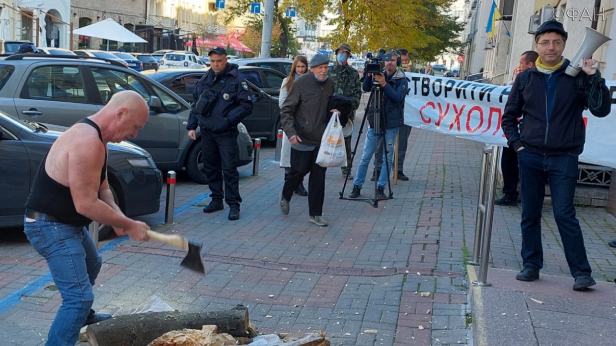 Лес рубят — щепки летят: в центре Киева рубили дрова ради спасения «лысеющих» Карпат