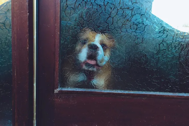 Как помыть матовое стекло, не повредив его. Проще простого