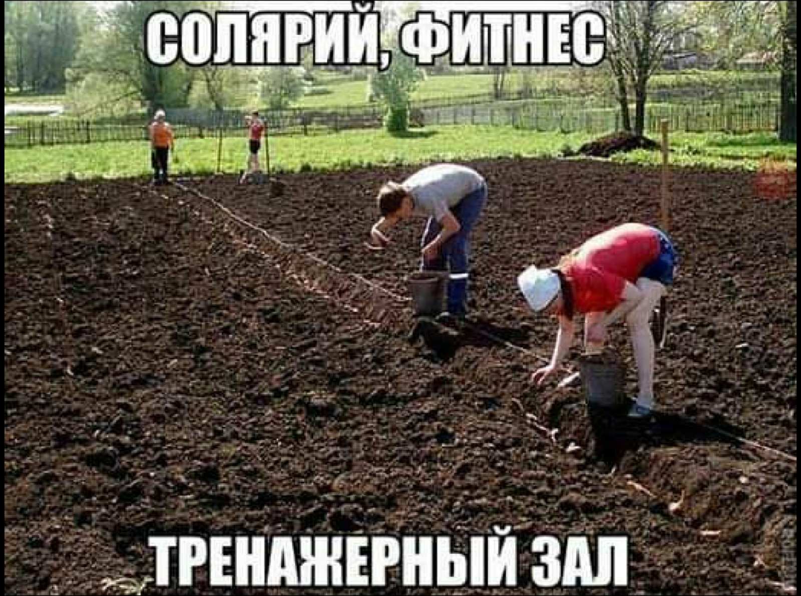 - Милый, я дома. - Ты меня уже задолбала!... пинает, время, мешки, спрашивает, после, мужиков, колечко, приходит, Доктор, плитой, обогревателем, кухню, заходит, мальчика, Накаляю, делаешь, кухне, обстановкуСкоро, появится, налог