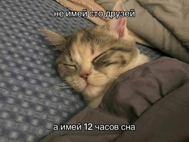 Хорошо погуляли — это когда хочется начать новую жизнь. В новом городе, под новым именем.... 