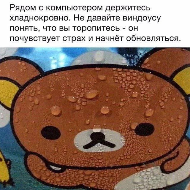 Юмор для тех, кто уже повзрослел и понял, что «маркетплейс» — это ловушка для зарплаты Юмор для тех, кто уже повзрослел и понял, что «маркетплейс» — это ловушка для зарплаты