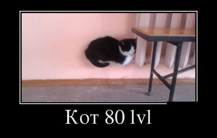 Подборка черноватого юмора в демотиваторах 