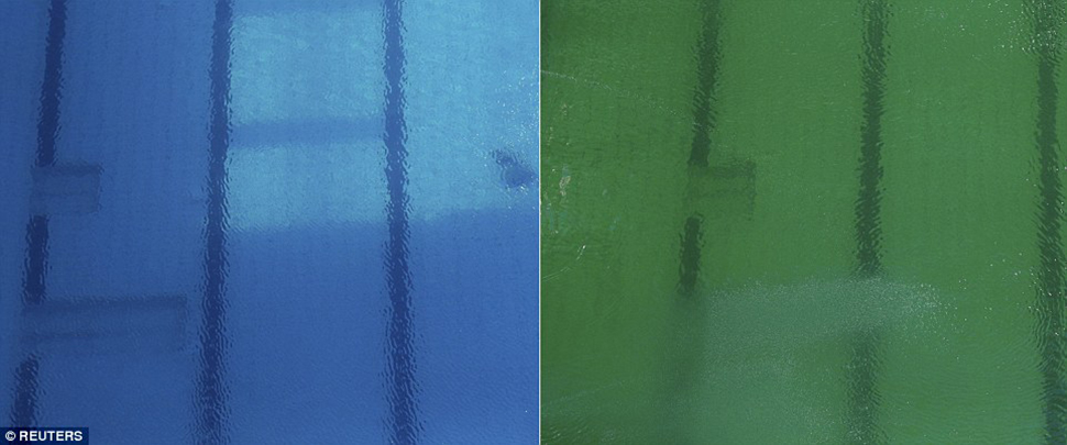 Цвет нормальных вод. Зеленая вода в бассейне. Мутная зеленая вода в бассейне. Позеленела вода в бассейне после добавления хлора. В бассейне вода зеленоватая не голубая.