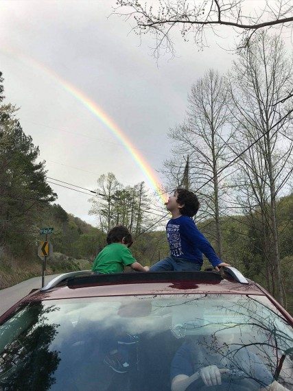 Забавная подборка дня Забавная подборка дня