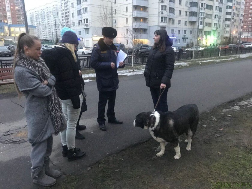 Господа собачники, водите своих питомцев на поводке!