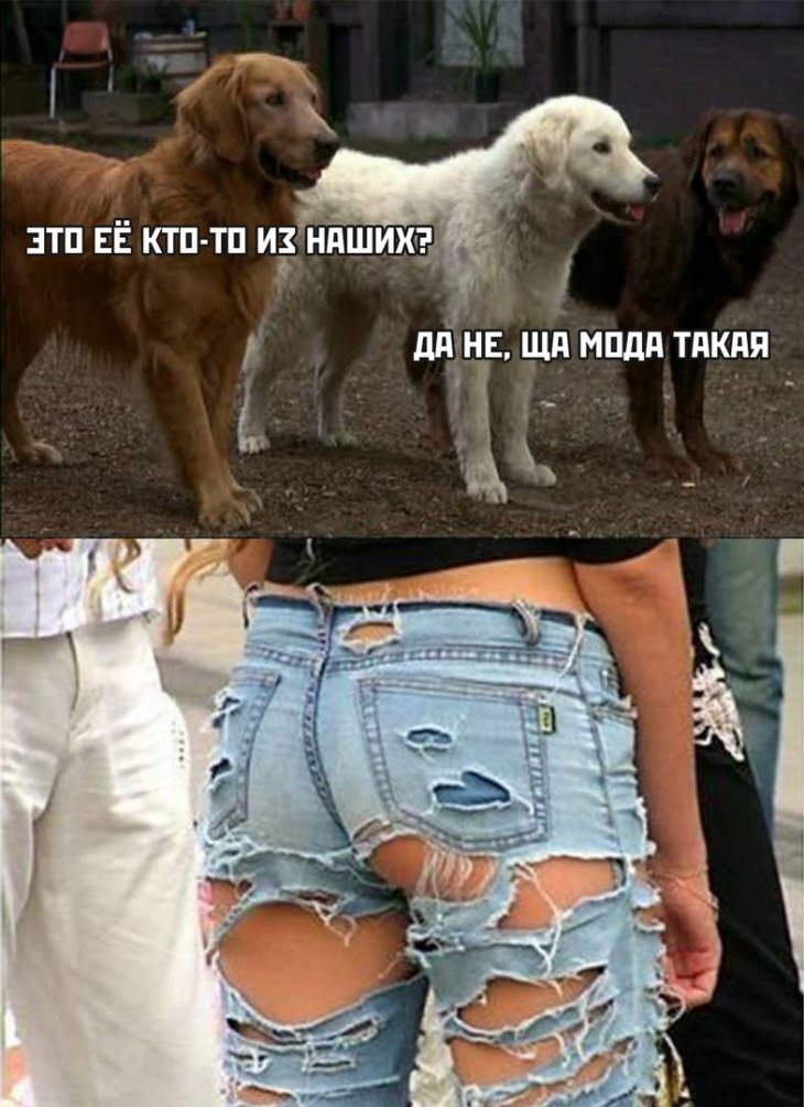 Смешные картиночки для настроения Смешные картиночки для настроения