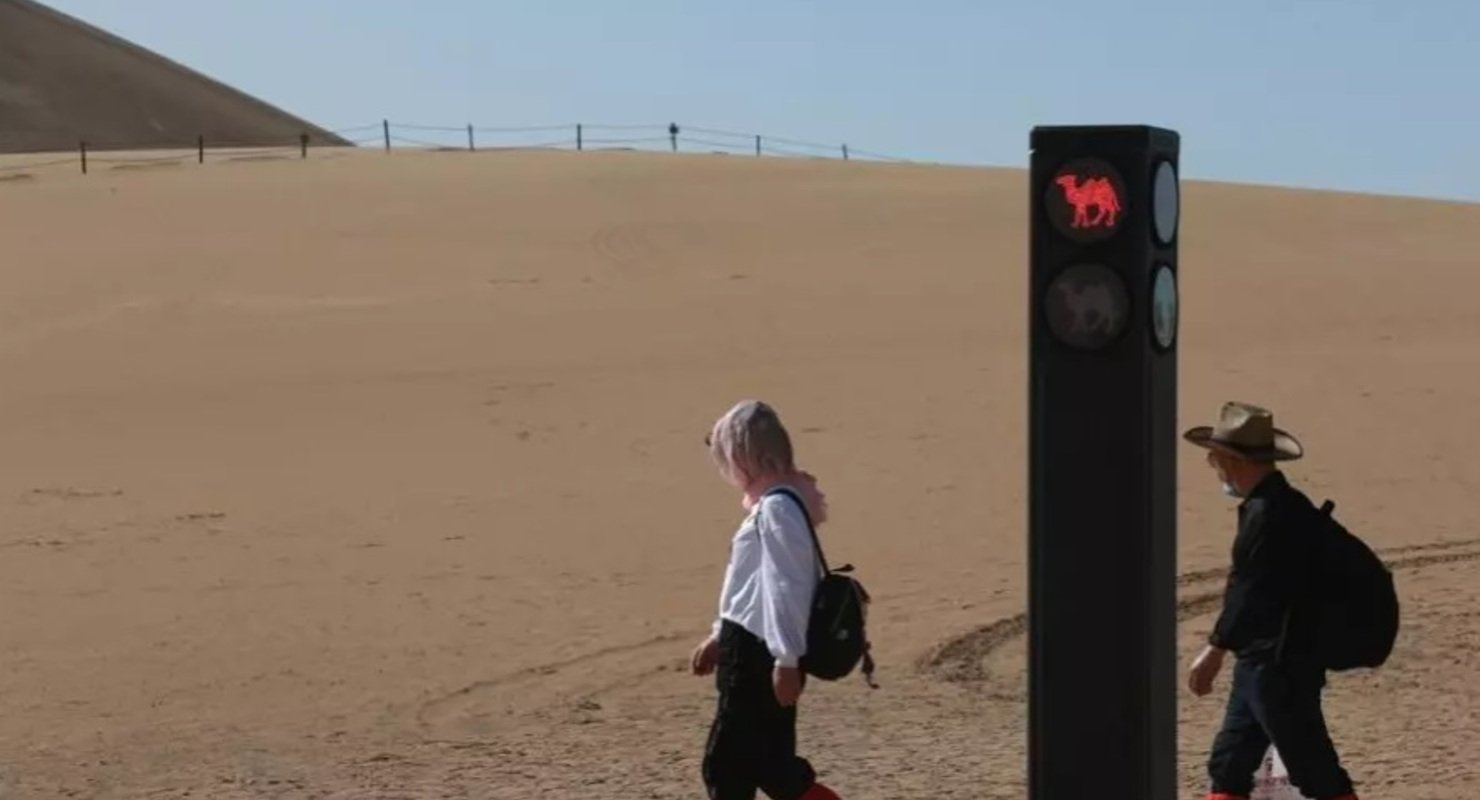 В КНР установили светофор, регулирующий движение верблюдов