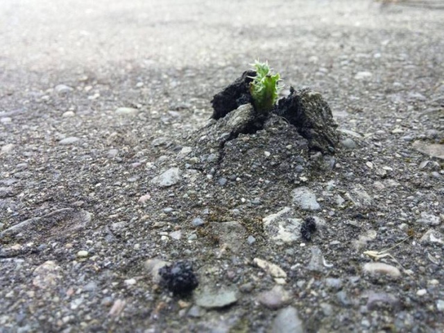 Прикольные и позитивные фотографии для улыбки Прикольные и позитивные фотографии для улыбки