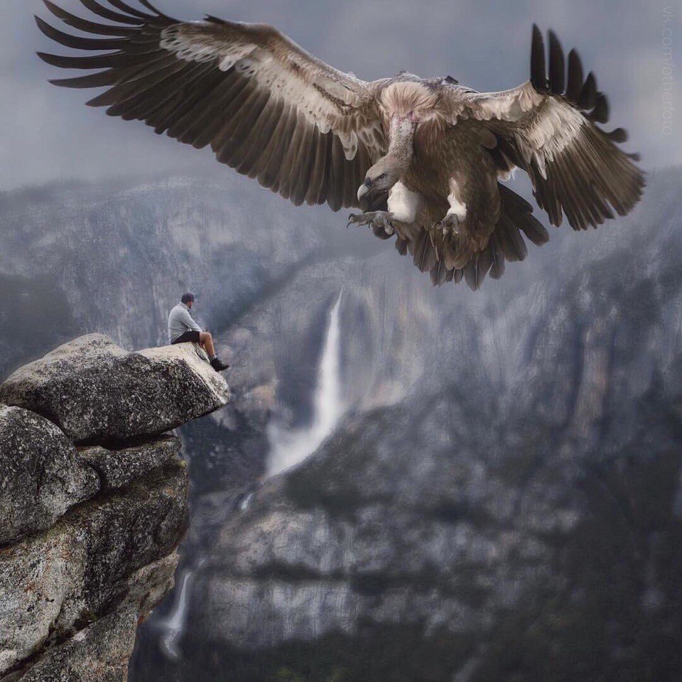 Классные, красивые и шикарные фотографии для настроения 