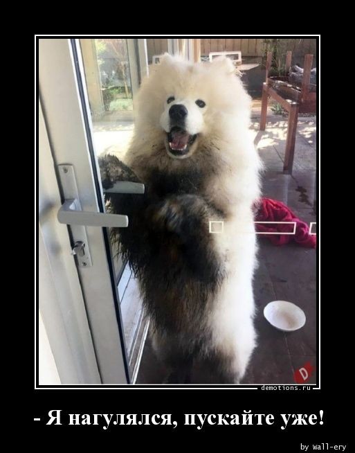 Демотиваторы свежие, прикольные: «Отвлекитесь от Интернета…» Демотиваторы свежие, прикольные: «Отвлекитесь от Интернета…»