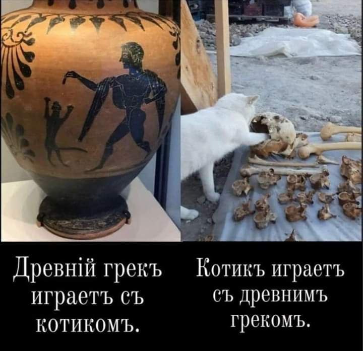 Шуточки которые скрасят ваш день! 