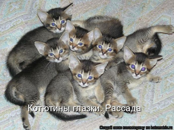 Мысли вслух :)