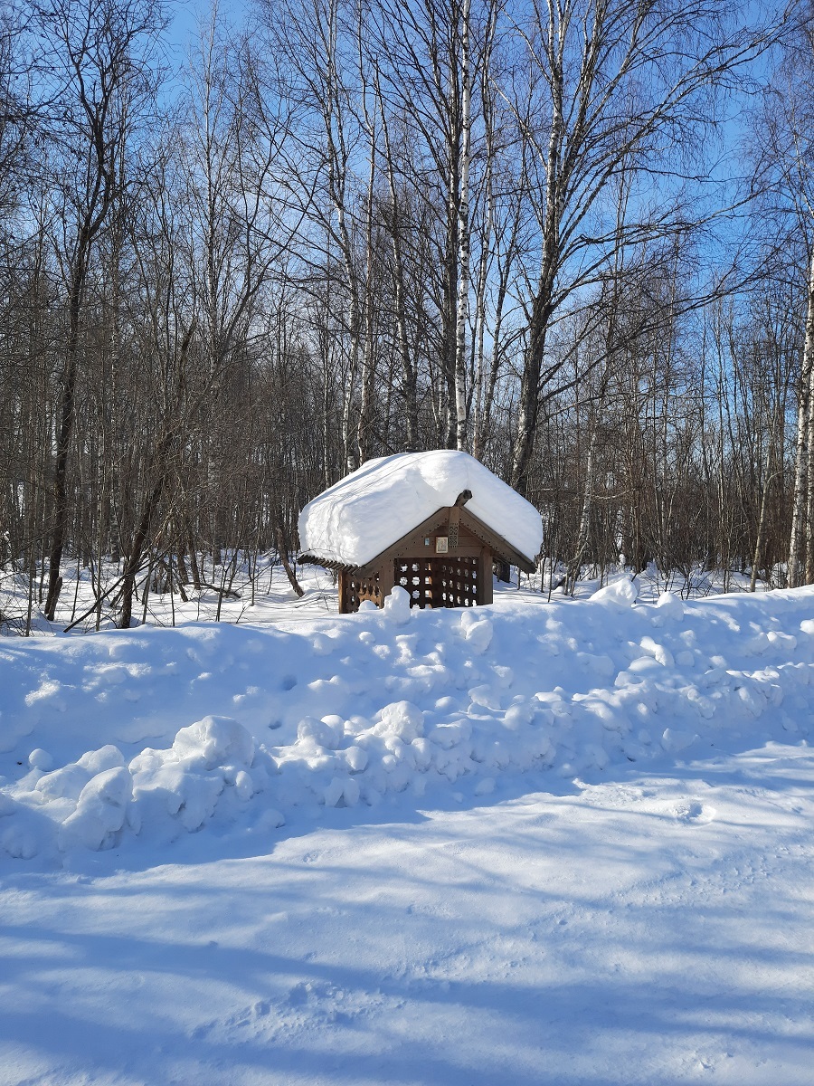 В Кижи на автомобиле. 