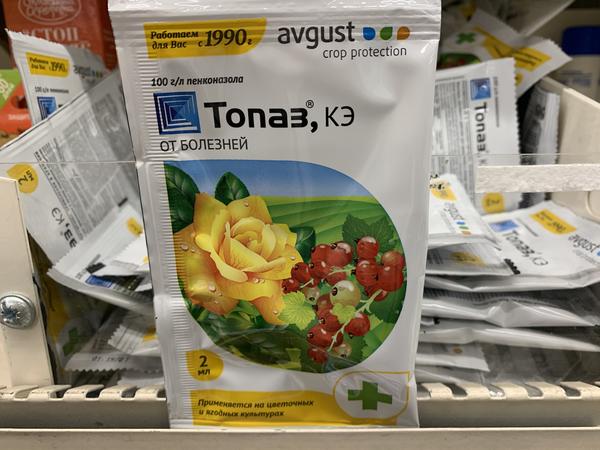 ������ ���������� �� ��� � ����, � ����� ��� ��� �� ��������