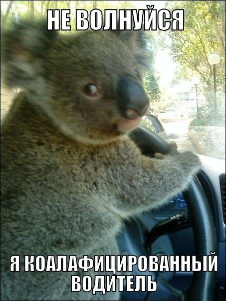 Какой мир - такие и шутки Какой мир - такие и шутки