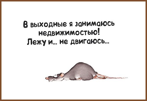 Задорные шутки с сарказмом 