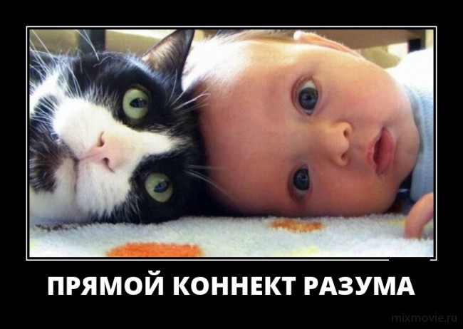 Классные, веселые и забавные демотиваторы из сети демотиваторы свежие,смешные демотиваторы,юмор