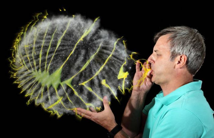 Прикольные картинки. Дневной выпуск (52 фото)