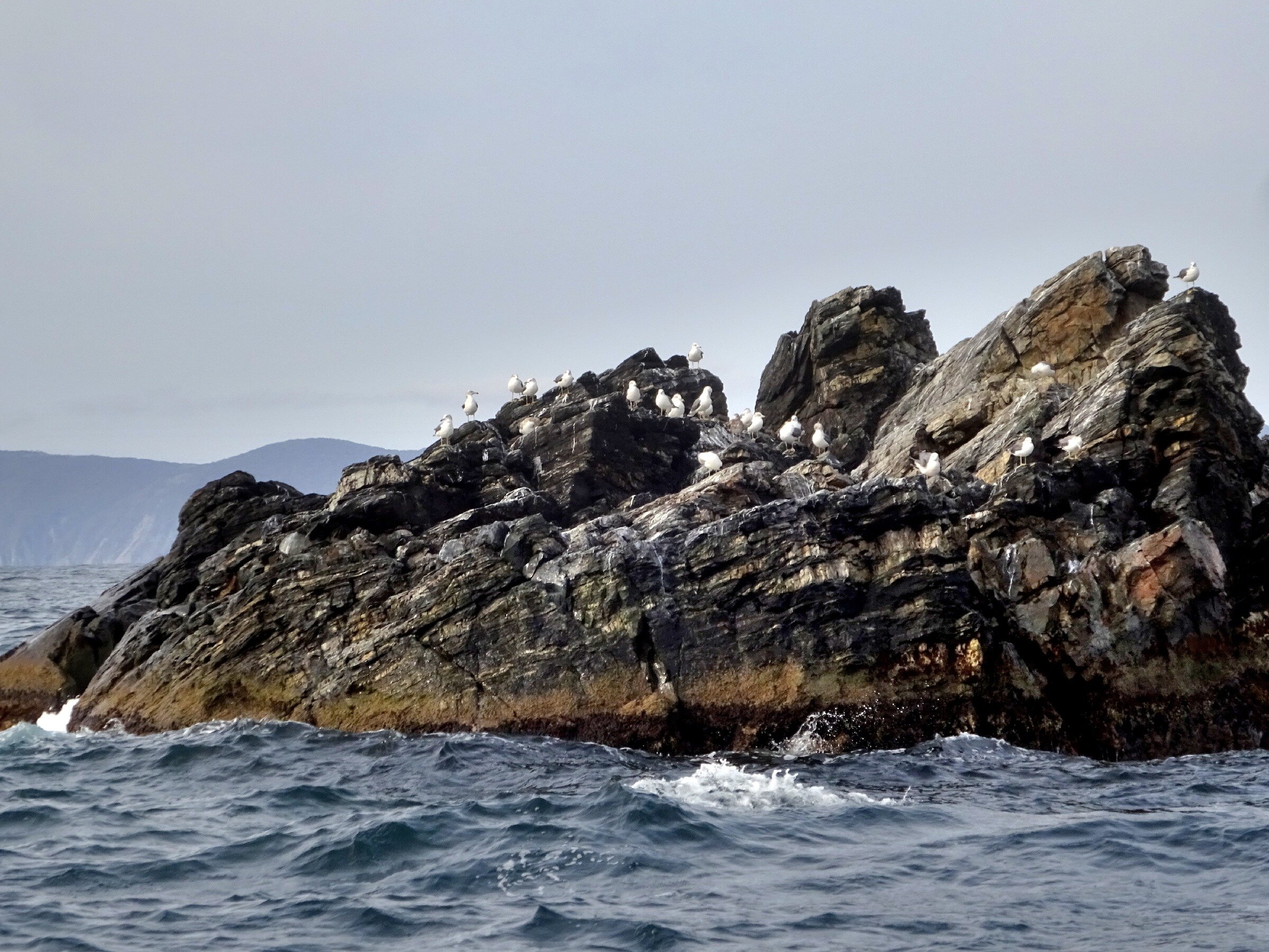 острова в японском море