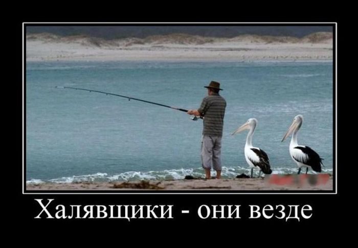 Убойные Демотиваторы. Смейтесь на здоровье!