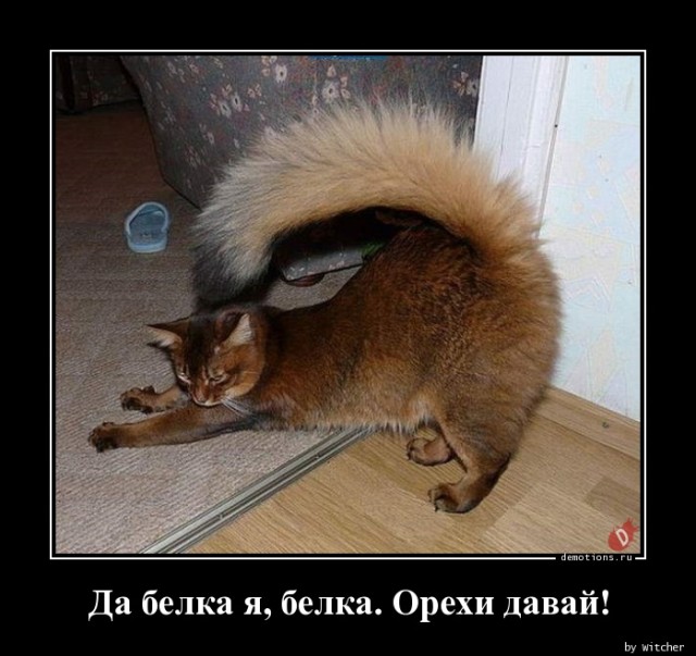Свежий сборник прикольных демотивирующих картинок на любой вкус! 