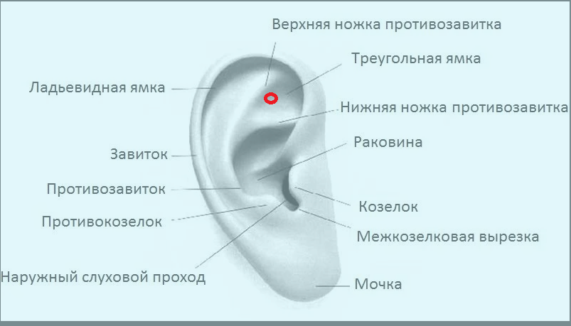 Антистрессовая точка. Фото подготовлено лично мной