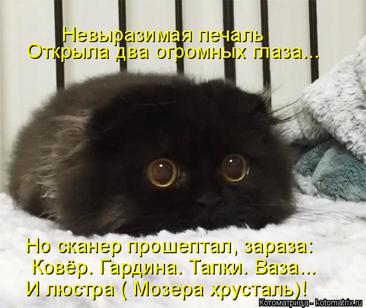 Котоматрица: Открыла два огромных глаза... Невыразимая печаль  Но сканер прошептал, зараза: Ковёр. Гардина. Тапки. Ваза... И люстра ( Мозера хрусталь)!