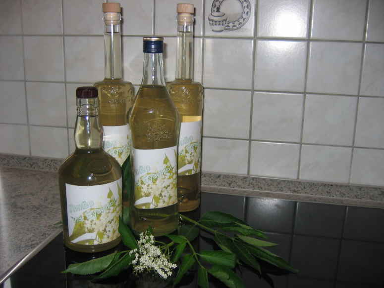 Сироп и лимонад из цвета бузины черной: лечит простуду, кашель, пневмонию, ОРВИ, грипп. Даже от подагры и ревматизма спасает!