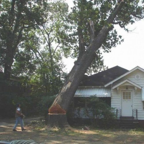 За секунду до… (26 фото)