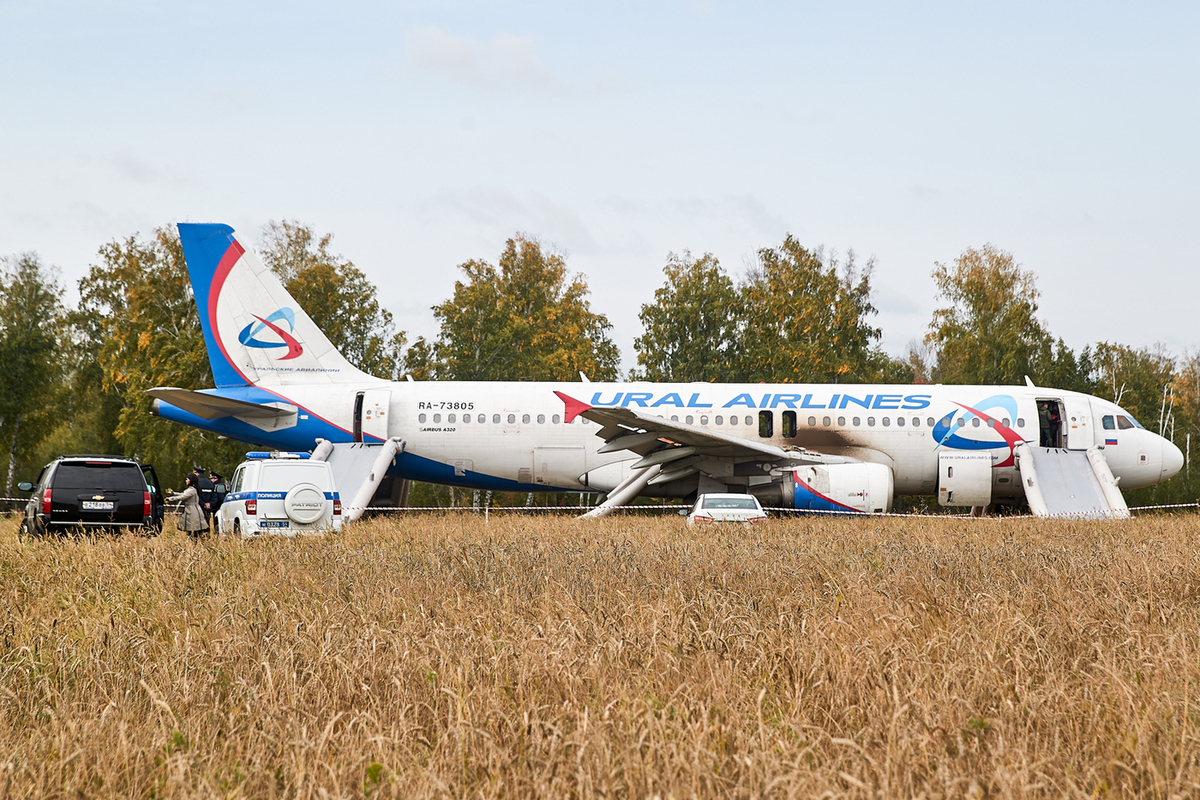 Летчик, посадивший самолет на пшеничное поле под Новосибирском, намерен трудоустроиться за границу