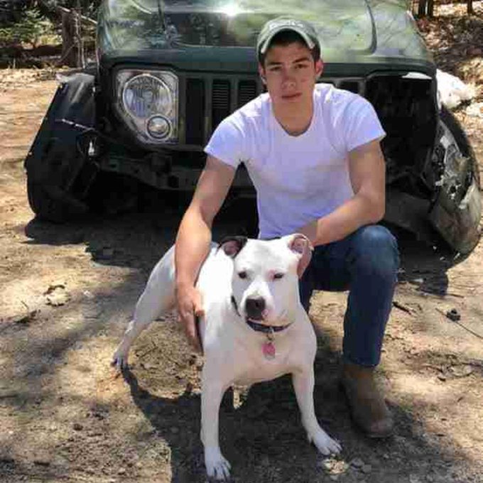 17 доказательств того, что мы не заслуживаем собак 17 доказательств того, что мы не заслуживаем собак супер