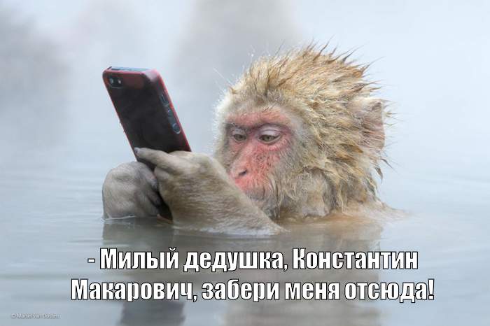 Смешные эксклюзивные картинки Смешные эксклюзивные картинки картинки,прикол,юмор