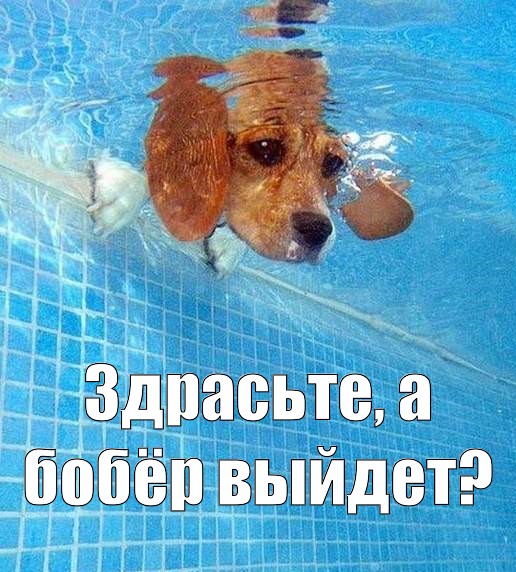 Смешные эксклюзивные картинки Смешные эксклюзивные картинки картинки,прикол,юмор