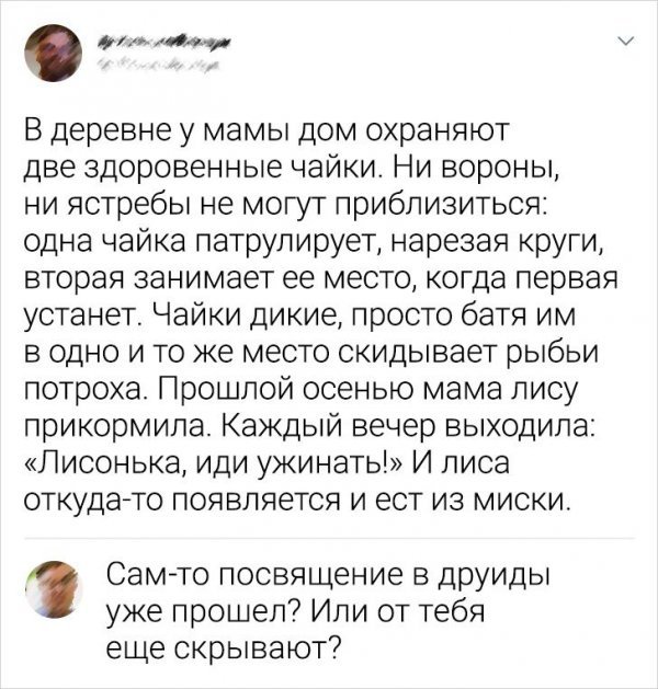 Подборка забавных комментариев с просторов Сети