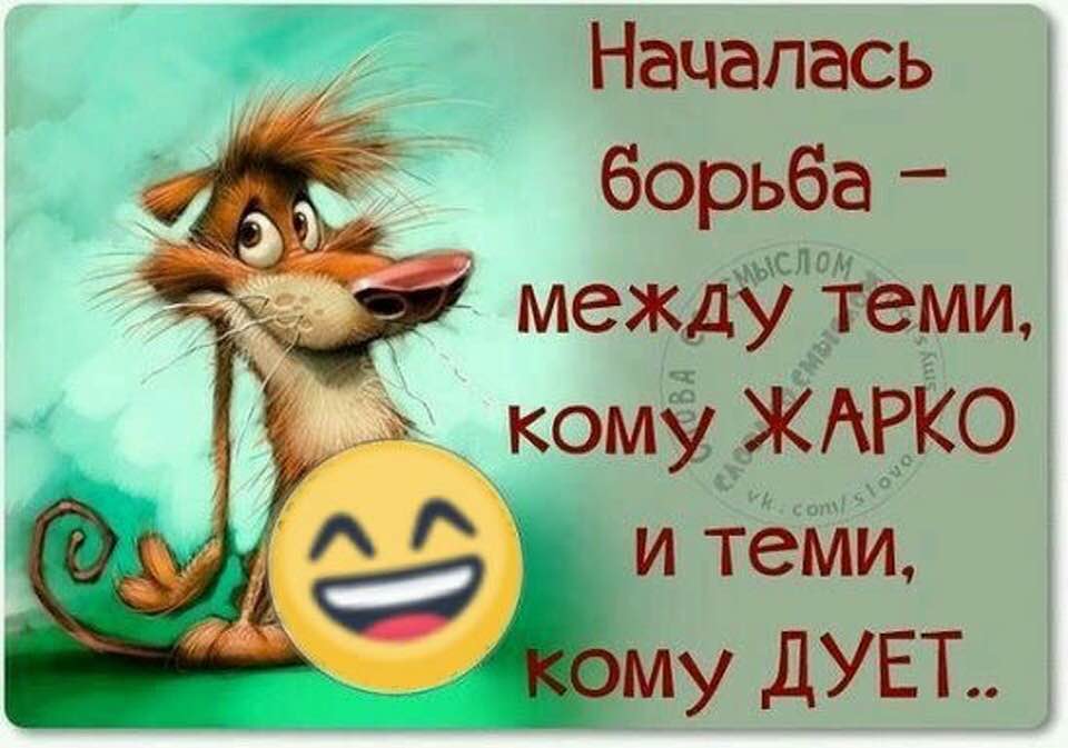 Цитаты про жару