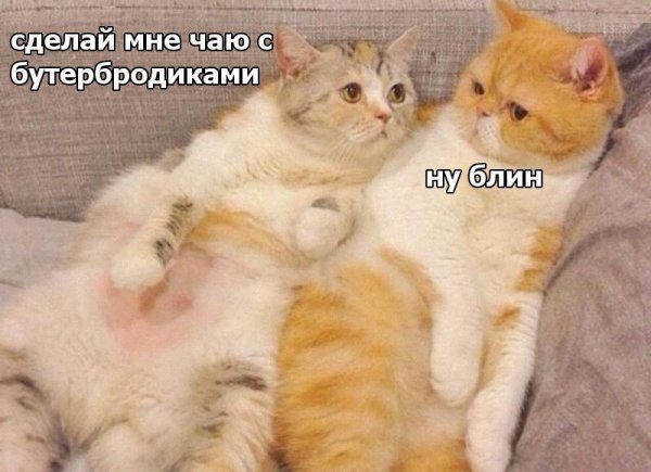 Нестандартный юмор :)