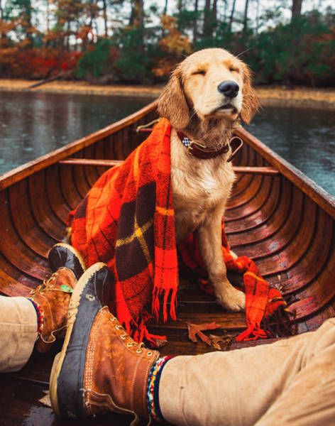 Подборка картинок. Дневной выпуск (73 фото)