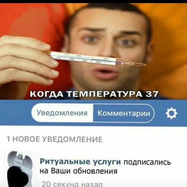 Я не говорю, что качки тупые, но просто прислушайтесь: боДИБИЛдер г,Омск [958142],город Омск г,о,[95245456],Омская обл,[958105]