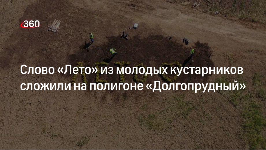 Слово «Лето» из молодых кустарников сложили на полигоне «Долгопрудный»