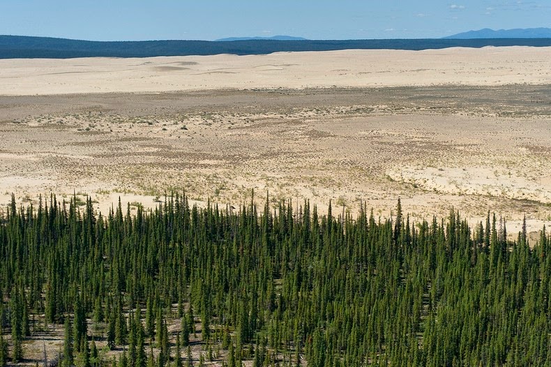 Великие песчаные дюны Кобук в Национальном парке Kobuk Valley на Аляске авиатур