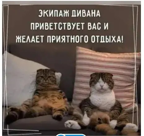 Юмор в картинках и без 