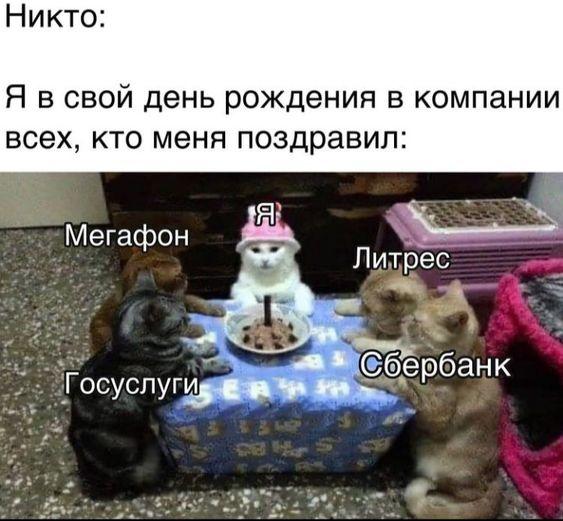 Смешные картинки с юмором 