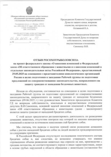 Кто виноват и что делать