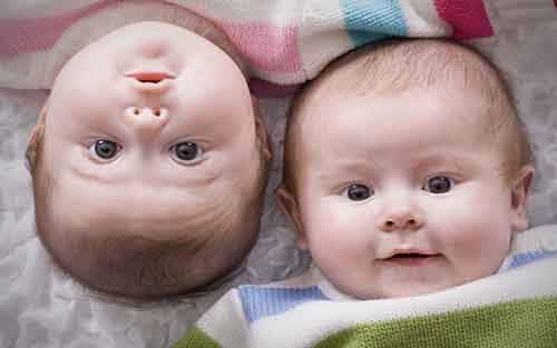 Любопытные факты о близнецах близнецов, являются, могут, близнецы, однояйцевых, идентичных, также, вероятность, утробе, другу, встречается, леворукость, разные, двуяйцевых, неделе, Хемингуэя, зачатия, таких, детей, собственный