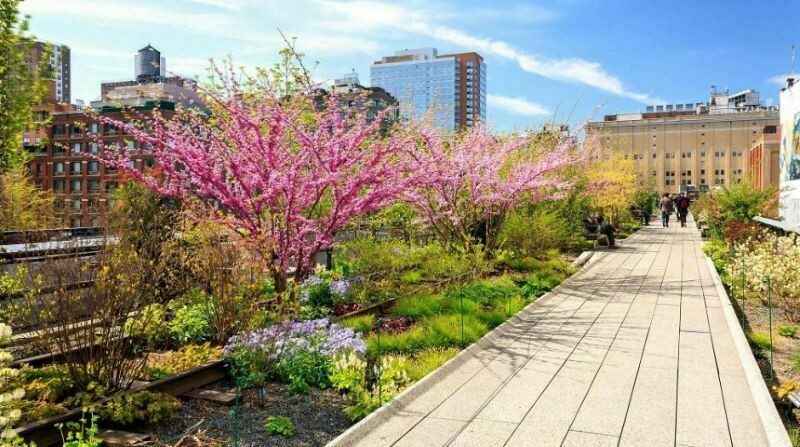 4 самых необычных места на планете, где выращивают растения 4 самых необычных места на планете, где выращивают растения зелень,планета,растения