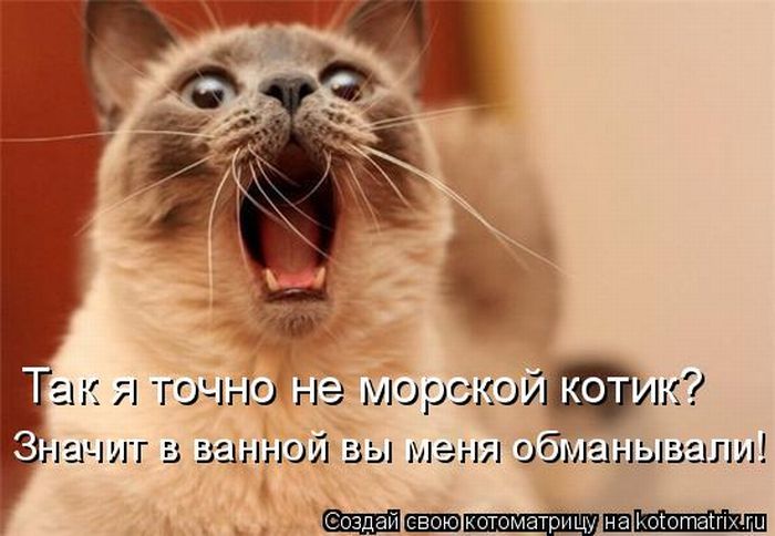 Мысли вслух :)